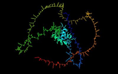 Una investigación arroja más luz sobre la proteína H1, el guardián de la estabilidad del genoma
