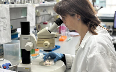 Cinco proyectos del CSIC reciben financiación de la UE para estudiar el desarrollo embrionario, biología sintética, células solares, catalizadores y la representación política